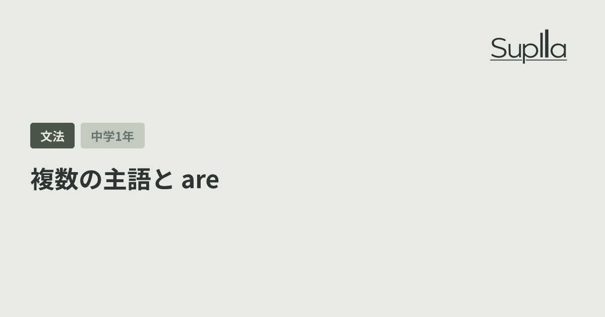 複数の主語と are