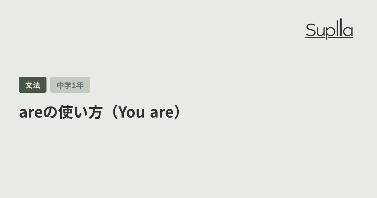 areの使い方（You are）